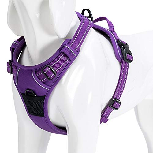 WINHYEPET Truelove No-Pull Dog Harness