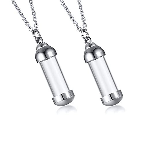 Mealguet Stainless Steel and Glass Urn Pendant