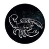 Scovillas SCORPION DUST in Shaker, 20 g view 2
