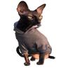 Kotomoda Sphynx Cat Clothing Dark Gray Hoodie Home Sweet Home (XS) view 3