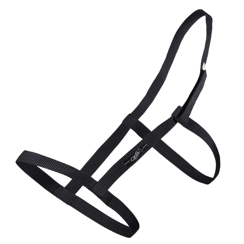 QHP Black Pasture Halter with Velcro (Shetty)
