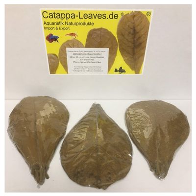 30 Premium Indian Almond Leaves, 10–15 cm, Individually Wrapped
