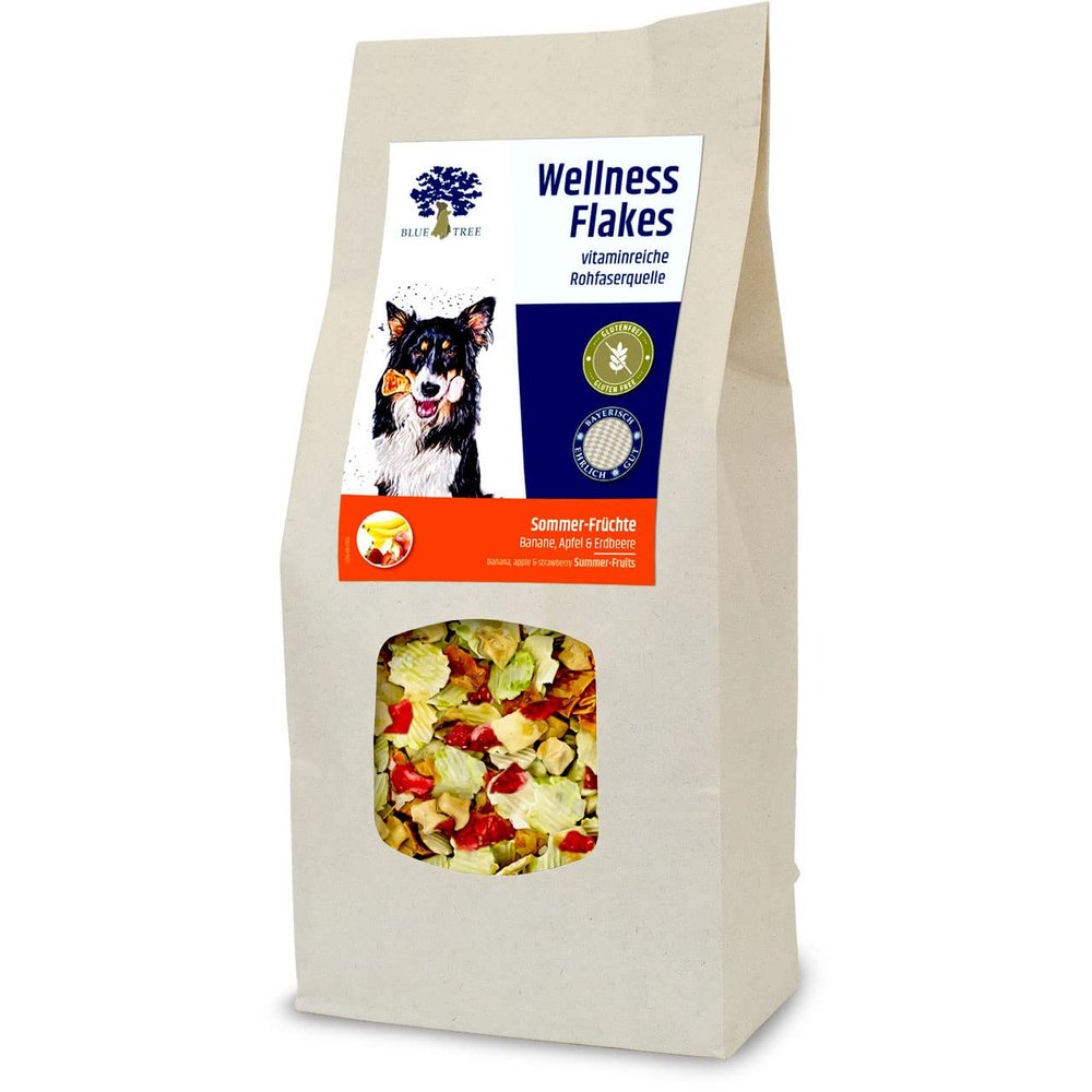 BT Wellness Flakes Summer Fruits 650 g