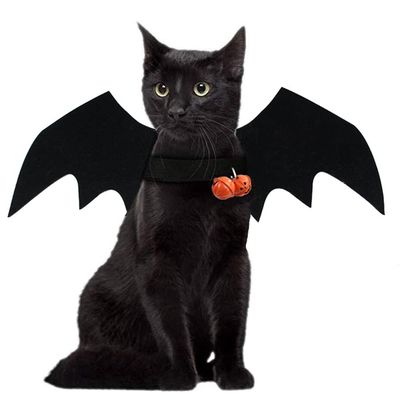 Halloween Pet Costume Bat Wings