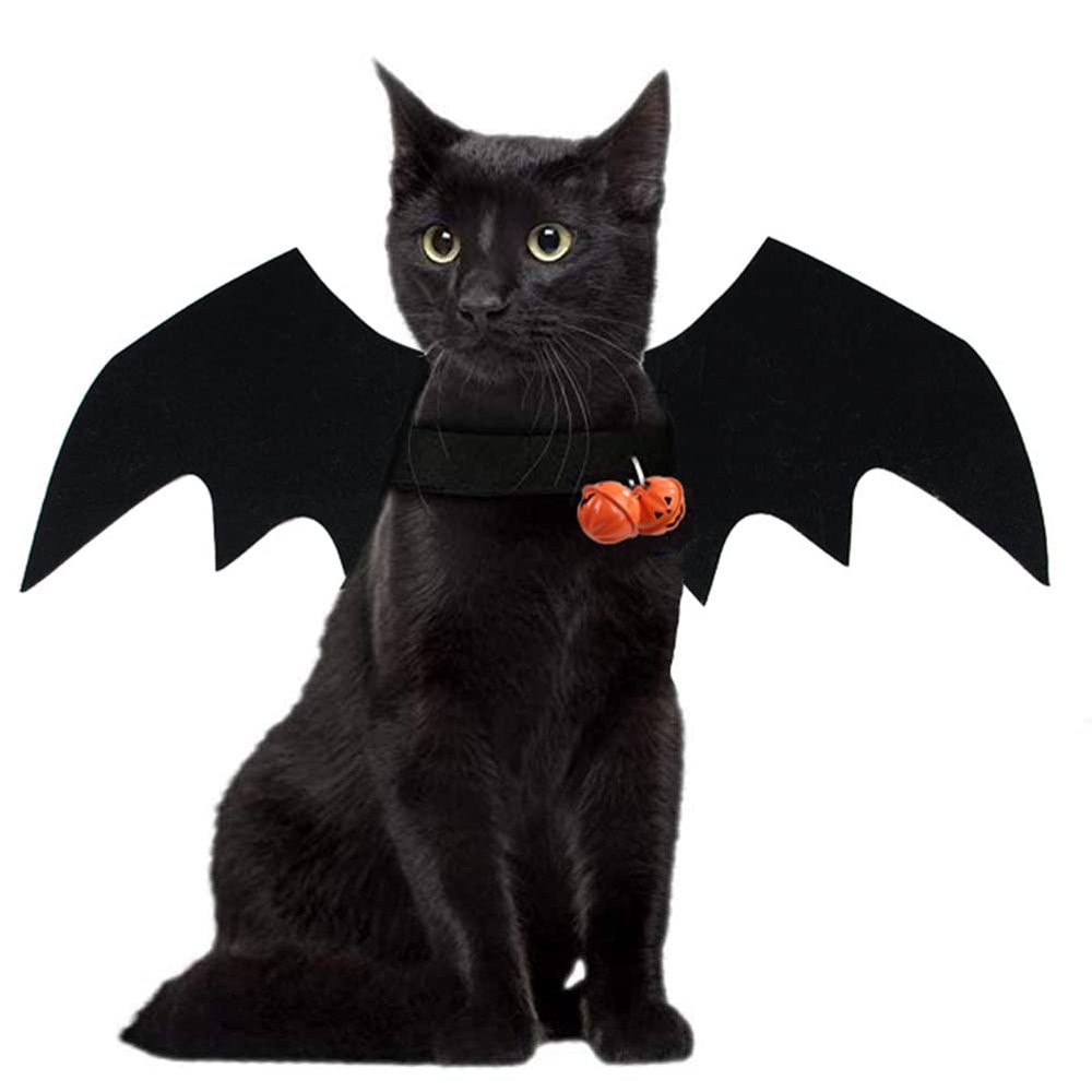 Halloween Pet Costume Bat Wings