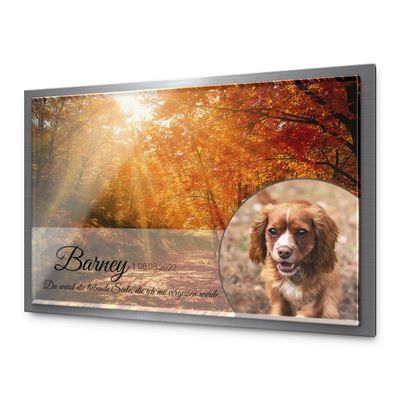 CHRISCK design Premium Pet Grave Marker, Glossy Acrylic & V2A Stainless Steel, UV Photo Print, 30 x 20 cm