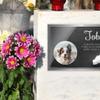 CHRISCK design Premium Pet Grave Marker, Glossy Acrylic & V2A Stainless Steel, UV Photo Print, 30 x 20 cm view 2
