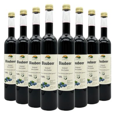 BLEICHHOF Blueberry Juice – Not From Concentrate, Vegan (8 x 0.47 L)