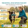 HUND IST KNIG Dog Training Dummy view 2