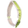 QHP Adjustable Lunge Girth Ontario with Soft Faux Fur (Shetty, Lime) view 1