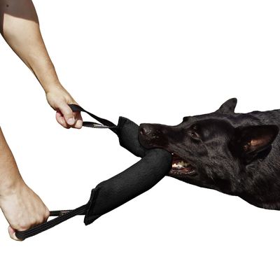 Dingo Gear Cotton-Nylon Bite Tug, 45 x 8 cm, Black
