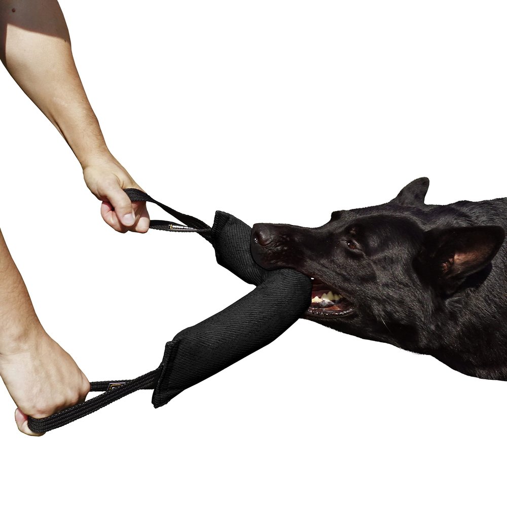 Dingo Gear Cotton-Nylon Bite Tug, 45 x 8 cm, Black