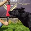 Dingo Gear Cotton-Nylon Bite Tug, 45 x 8 cm, Black view 3
