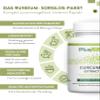 PlusVive High-Dose Turmeric Extract Capsules | 90 Capsules | 200 mg Turmeric Extract & 450 mg Turmeric Powder | With Piperine, Papain & Spirulina | Vegan & Lab-Tested view 4