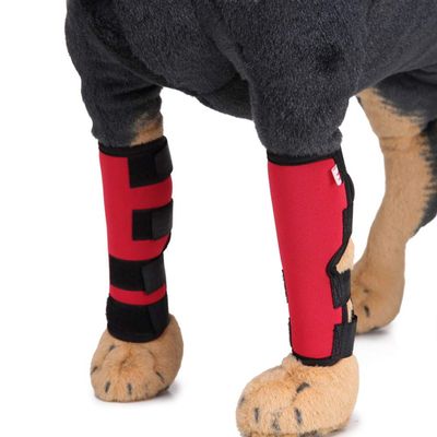 Dog Knee Brace for Leg and Wound Protection and Joint Support