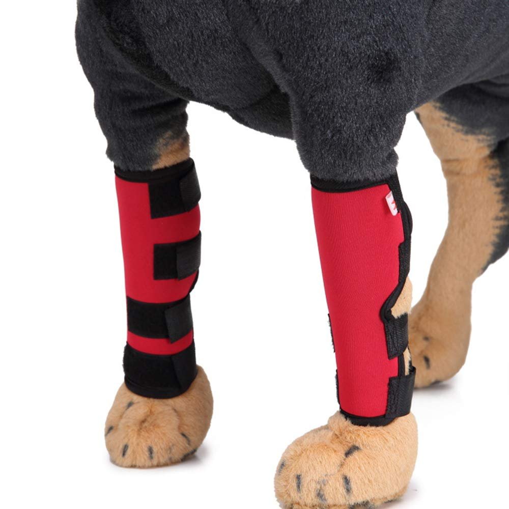 Dog Knee Brace for Leg and Wound Protection and Joint Support