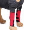 Dog Knee Brace for Leg and Wound Protection and Joint Support view 2