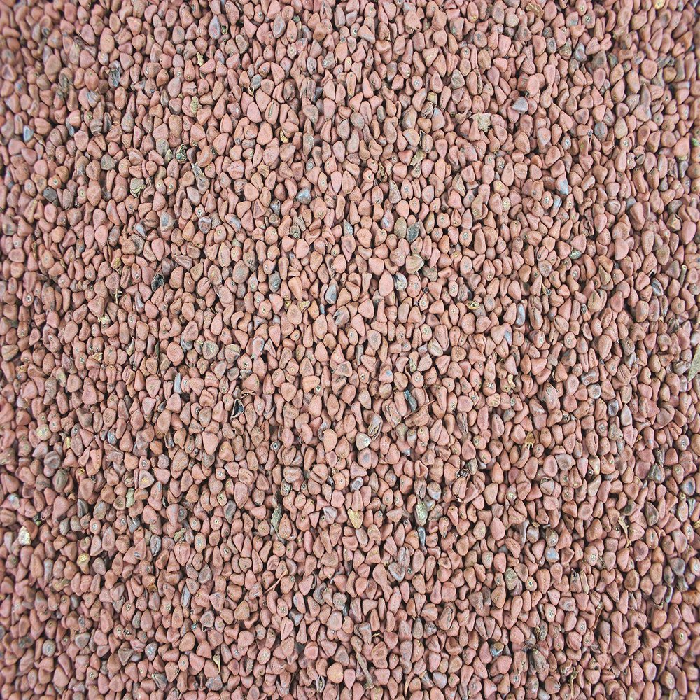 1000Kräuter Whole Annatto Seeds (1000 g)