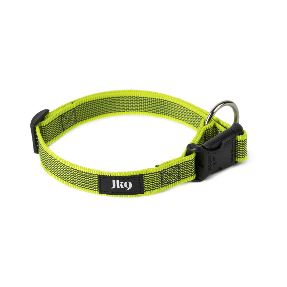 Julius-K9 225CG-NE Color & Gray Collar, 25 mm x 39-65 cm, Neon Gray