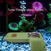 Floating Turtle Basking Platform with Feeding Trough, Green view 4