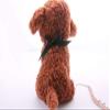 Dreamls Collar for Dogs and Cats with Bow and Bone Pendant view 4