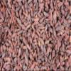 1000Kruter Goji Berries Dried Whole (100 g) view 1