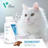 VetExpert Skin&Coat | 30 Capsules | Supplement for Dogs & Cats | With Borage Oil & Fish Oil view 2
