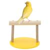 Wooden Tabletop Bird Stand and Parrot Perch view 1