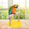 Wooden Tabletop Bird Stand and Parrot Perch view 2
