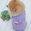 Dog Summer T-Shirt - Birthday Girl view 3