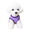 Dog Summer T-Shirt - Birthday Girl view 4