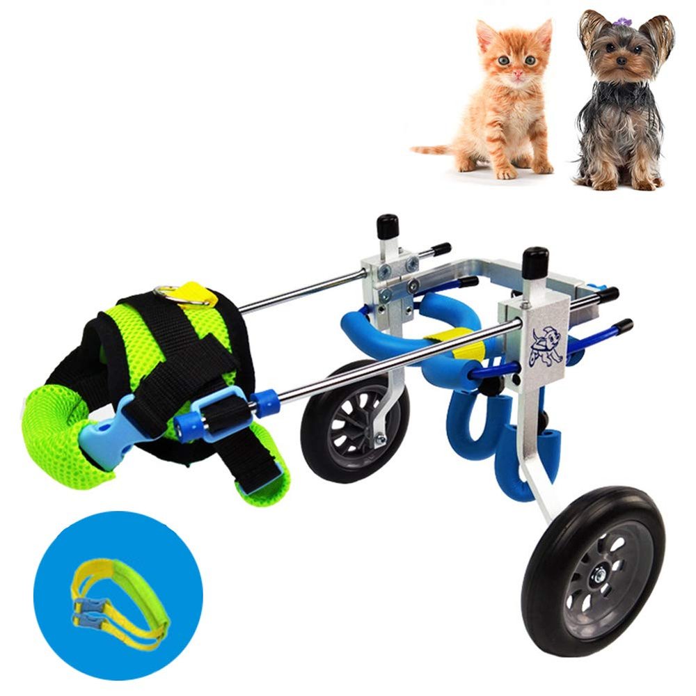 Cora Pet Dog Wheelchair for Hind Legs, 2-Wheel Mobility Cart, 3.3–35.3 lb