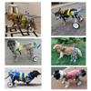 Cora Pet Dog Wheelchair for Hind Legs, 2-Wheel Mobility Cart, 3.3–35.3 lb view 2