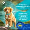 European Pet Pharmacy JUNIORFLEX 204 g Green-Lipped Mussel Powder for Dogs & Puppies with Glucosamine, Chondroitin & Vitamin C, Joint Complex for Ages 4–18 Months view 4