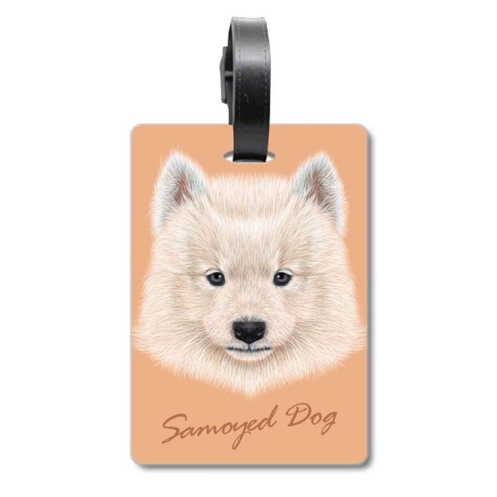 ID Tag for Dogs/Animals, Samoyed, White