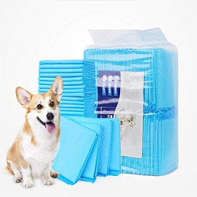 Kalavika Disposable Absorbent Dog Training Pads, Blue (S/33 x 45 cm)