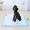 Kalavika Disposable Absorbent Dog Training Pads, Blue (S/33 x 45 cm) view 2