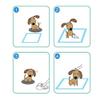 Kalavika Disposable Absorbent Dog Training Pads, Blue (S/33 x 45 cm) view 4
