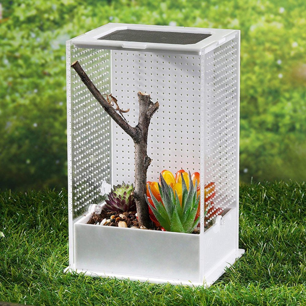Luckyx Acrylic Reptile Breeding Box with Sliding Design