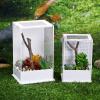 Luckyx Acrylic Reptile Breeding Box with Sliding Design view 4