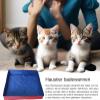 50 x 50 x 10 cm Folding Dog Pool for Small and Large Dogs and Cats view 2