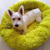 Winter Pet Cushion, Plush Nest, Dog Cave, Warm and Comfortable, 70 cm, Green view 2