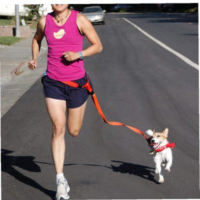 Adjustable Dog Leash for Training