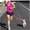 Adjustable Dog Leash for Training view 1