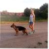 Adjustable Dog Leash for Training view 2
