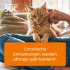 Heel Vet SUC Combination, Ubichinon compositum ad us. vet., 100 Ampoules view 2