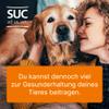 Heel Vet SUC Combination, Ubichinon compositum ad us. vet., 100 Ampoules view 3