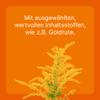 Heel Vet SUC Combination, Ubichinon compositum ad us. vet., 100 Ampoules view 4