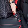 Exclusive Dog Car Seat, Gray, Size M (47 x 40 cm) view 3