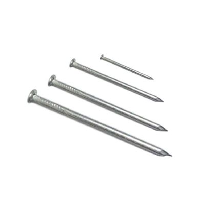 Round Stainless Steel Nails, 3 in (75 mm) Long, 1 Pound